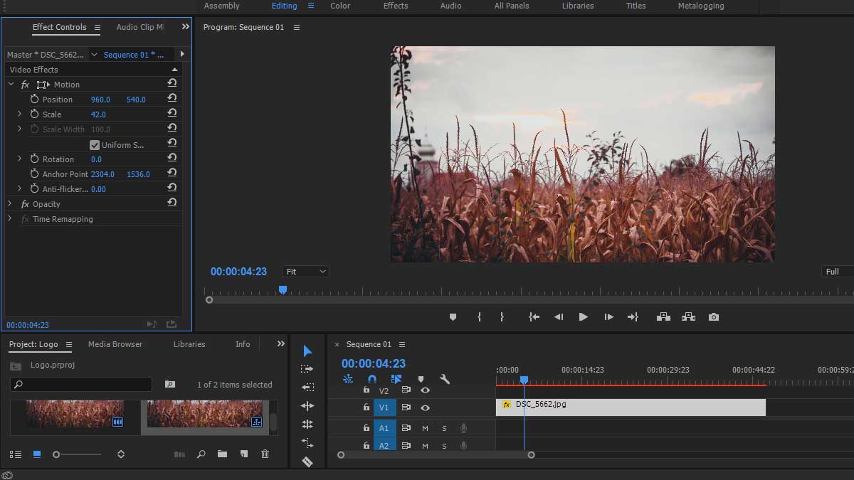 Adobe Premiere: programma per il montaggio video professionale